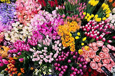 对战动作游戏《法师死斗：灵魂之力》延期至冬季