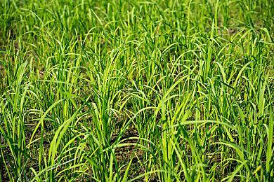 夏促钜惠重磅来袭！Quantic Dream旗下游戏《底特律：化身为人》《超凡双生》《暴雨》最低4折