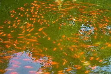 《碧蓝幻想：Relink》发售日预告 明年2月1日发售